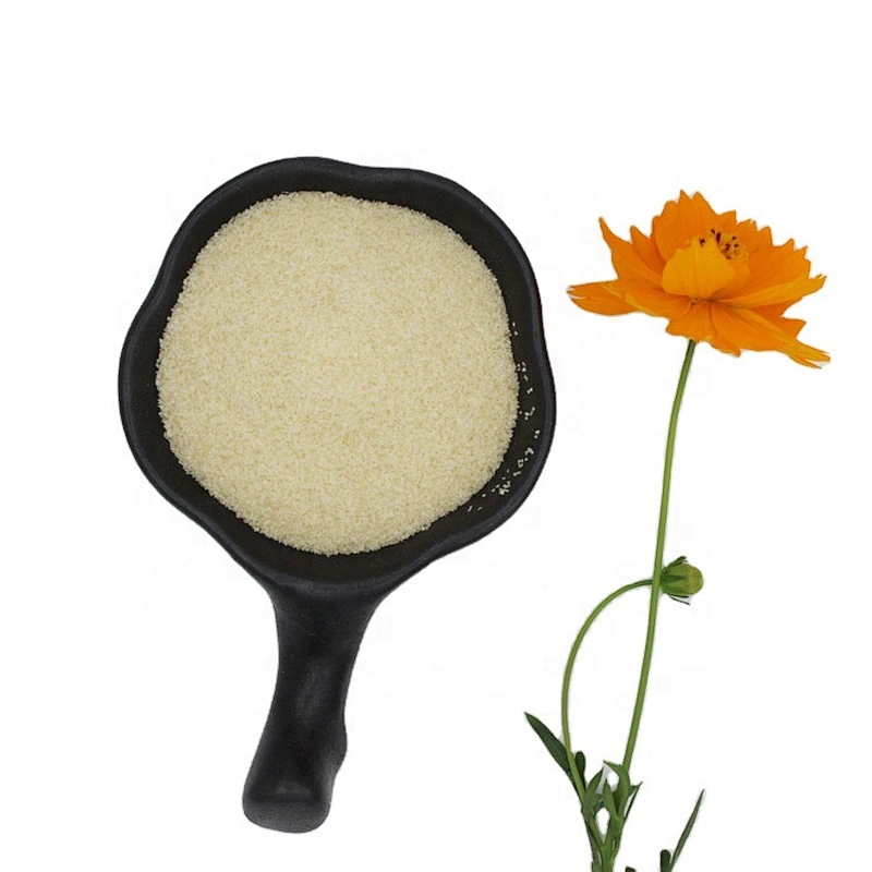 Halal food gelatin 240bloom 20mesh with ISO HACCP MUI certificate gelatin powder